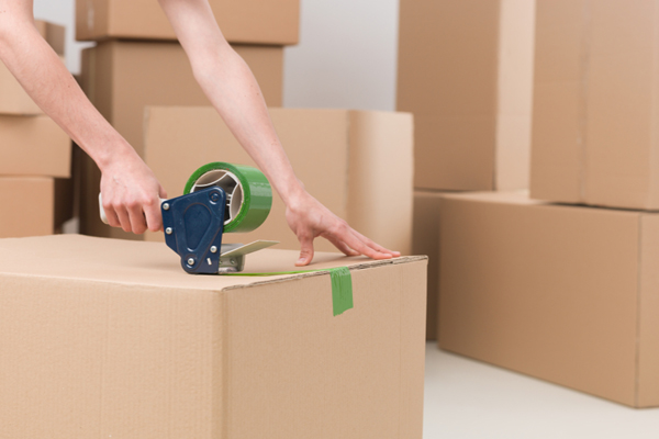 SSDN Cargo Movers Packers