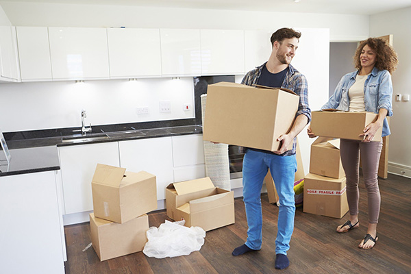 SSDN Cargo Movers Packers